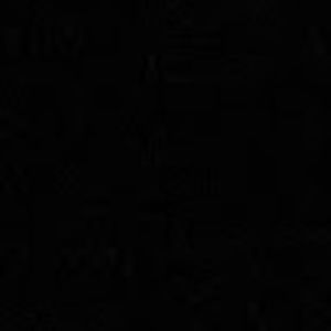 Meet your Posher, Peter